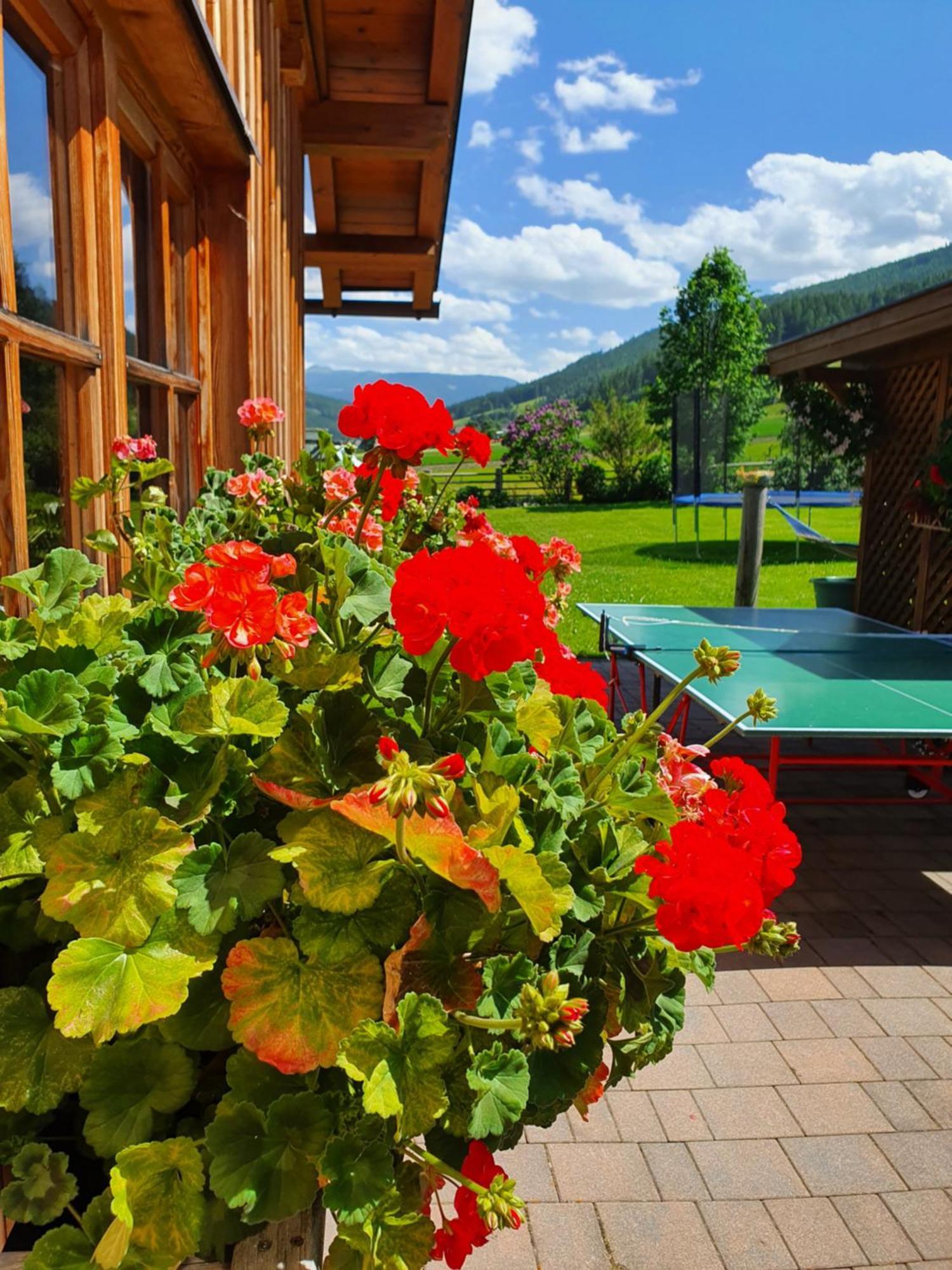 Ferienwohnungen Haus-Holzer Mauterndorf  Exterior foto