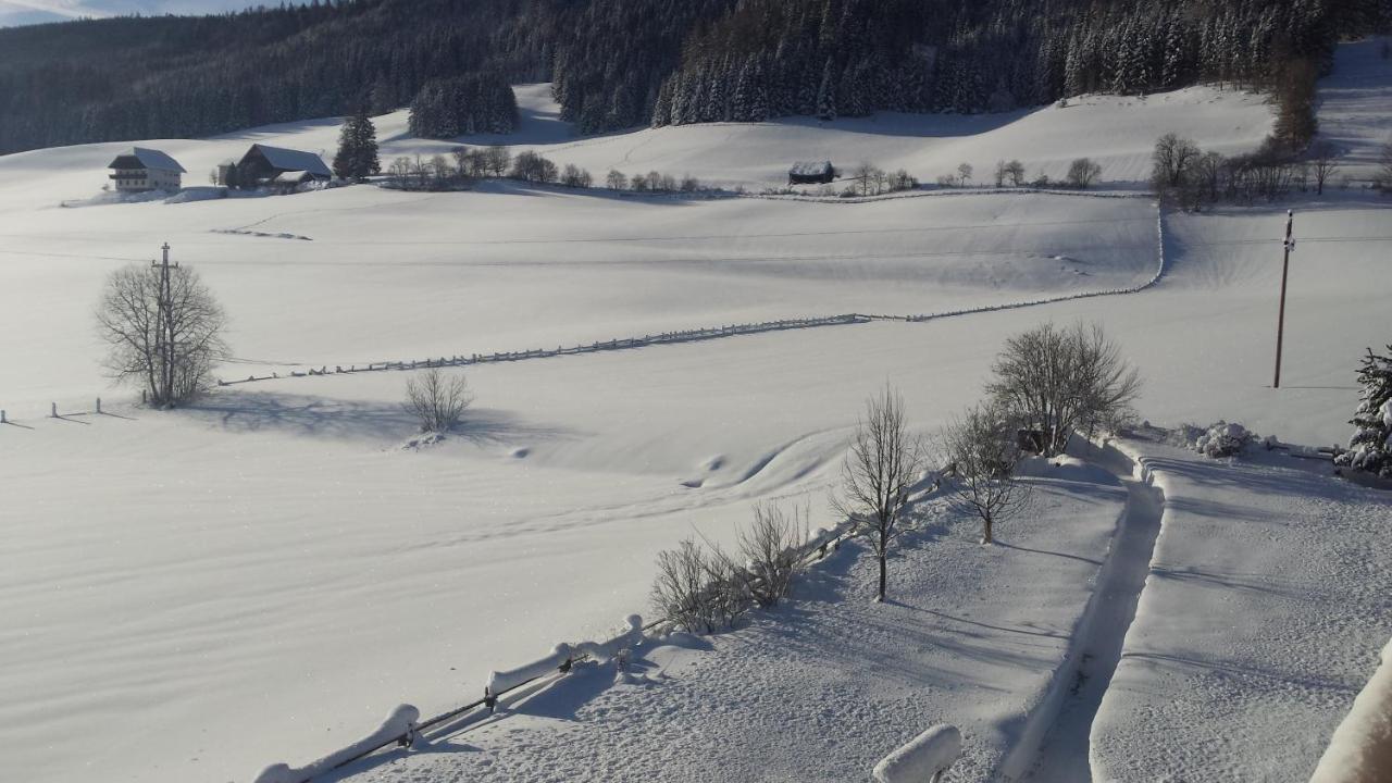 Ferienwohnungen Haus-Holzer Mauterndorf  Exterior foto